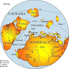 The supercontinent of Gondwana